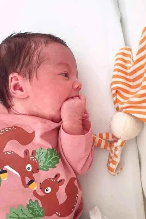 Non toxic toys for 6 month old sales